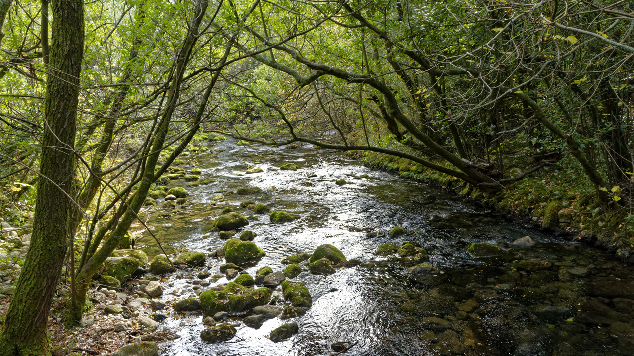 20221104 114126•Konavle•County of Dubrovnik-Neretva•Croatia